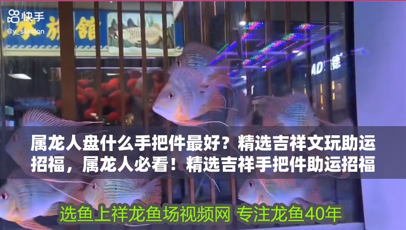 屬龍人盤(pán)什么手把件最好？精選吉祥文玩助運(yùn)招福，屬龍人必看！精選吉祥手把件助運(yùn)招福指南 屬龍人盤(pán)什么手把件最好？精選吉祥文玩助運(yùn)招福，屬龍人必看！精選吉祥手把件助運(yùn)招福指南 龍魚(yú)百科 第1張