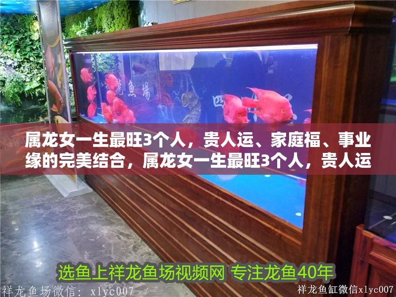 屬龍女一生最旺3個人，貴人運、家庭福、事業緣的完美結合，屬龍女一生最旺3個人，貴人運、家庭福、事業緣的完美結合