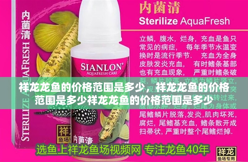 祥龍龍魚的價格范圍是多少，祥龍龍魚的價格范圍是多少祥龍龍魚的價格范圍是多少 祥龍龍魚的價格范圍是多少，祥龍龍魚的價格范圍是多少祥龍龍魚的價格范圍是多少 龍魚百科