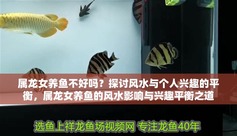 屬龍女養魚不好嗎？探討風水與個人興趣的平衡，屬龍女養魚的風水影響與興趣平衡之道