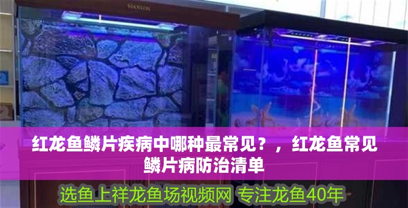 紅龍魚鱗片疾病中哪種最常見？，紅龍魚常見鱗片病防治清單