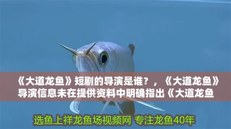 《大道龍魚》短劇的導演是誰？，《大道龍魚》導演信息未在提供資料中明確指出《大道龍魚》