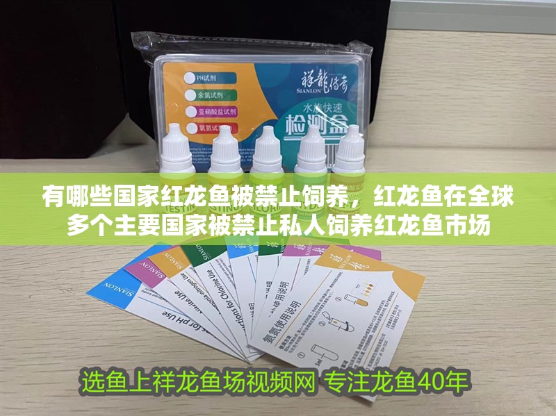 有哪些國家紅龍魚被禁止飼養，紅龍魚在全球多個主要國家被禁止私人飼養紅龍魚市場