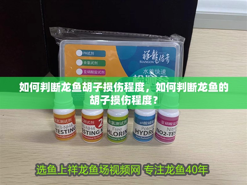 如何判斷龍魚胡子損傷程度，如何判斷龍魚的胡子損傷程度？
