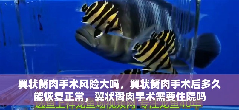 翼狀胬肉手術(shù)風(fēng)險(xiǎn)大嗎，翼狀胬肉手術(shù)后多久能恢復(fù)正常，翼狀胬肉手術(shù)需要住院嗎