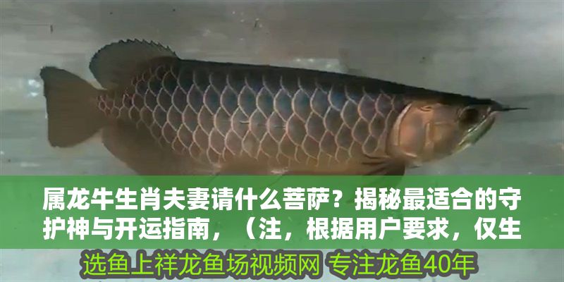 屬龍牛生肖夫妻請什么菩薩？揭秘最適合的守護(hù)神與開運指南，（注，根據(jù)用戶要求，僅生成1個標(biāo)題，無其他內(nèi)容補充）