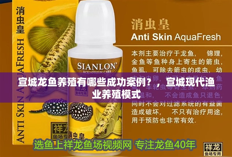 宣城龍魚養(yǎng)殖有哪些成功案例？，宣城現(xiàn)代漁業(yè)養(yǎng)殖模式