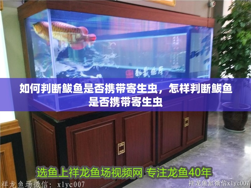 如何判斷鲅魚是否攜帶寄生蟲，怎樣判斷鲅魚是否攜帶寄生蟲