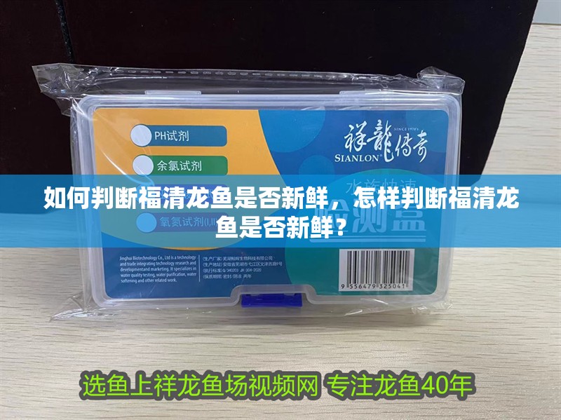 如何判斷福清龍魚是否新鮮，怎樣判斷福清龍魚是否新鮮？