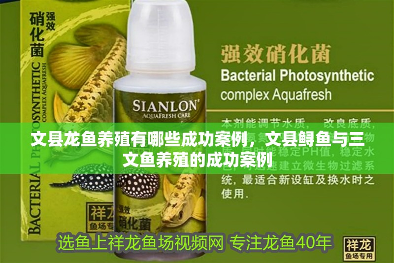 文縣龍魚(yú)養(yǎng)殖有哪些成功案例，文縣鱘魚(yú)與三文魚(yú)養(yǎng)殖的成功案例