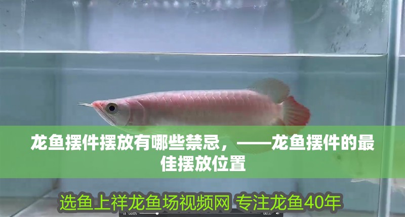 龍魚擺件擺放有哪些禁忌，——龍魚擺件的最佳擺放位置