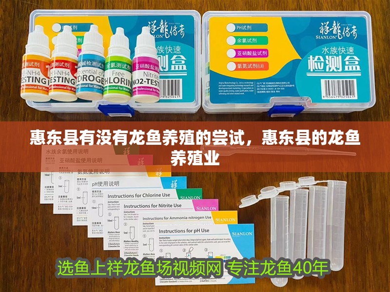 惠東縣有沒有龍魚養殖的嘗試，惠東縣的龍魚養殖業