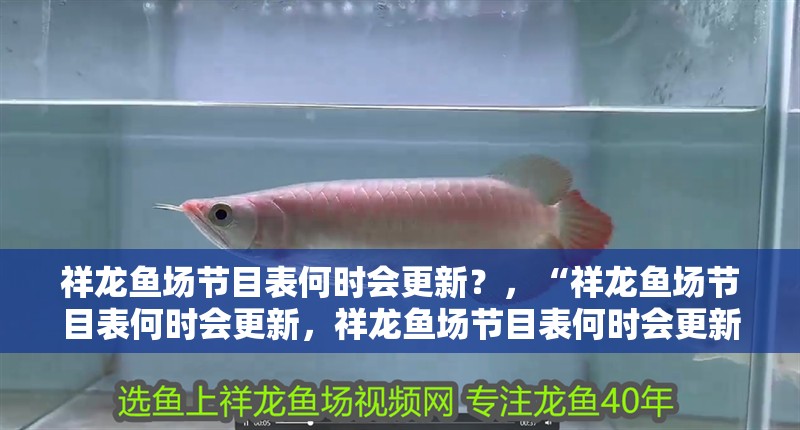 祥龍魚場節(jié)目表何時會更新？，“祥龍魚場節(jié)目表何時會更新，祥龍魚場節(jié)目表何時會更新