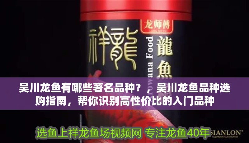 吳川龍魚有哪些著名品種？，吳川龍魚品種選購指南，幫你識別高性價比的入門品種