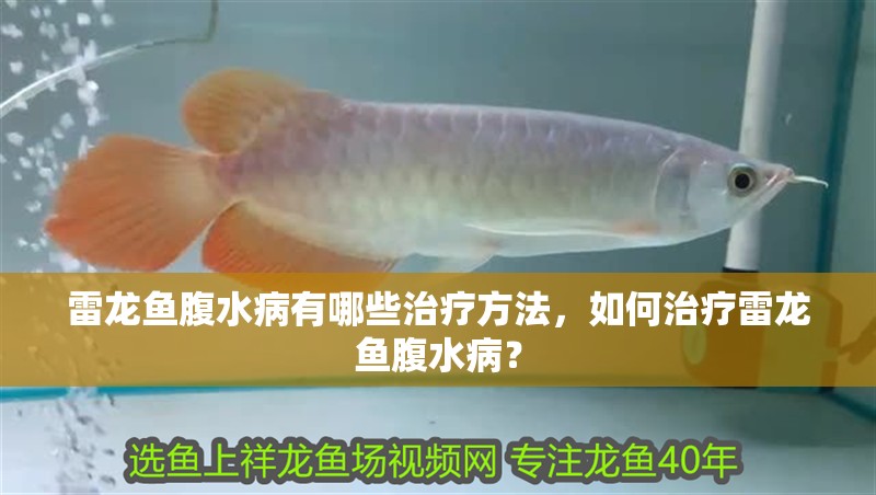 魚缸過濾器選購指南:自制魚缸過濾器魚缸上置過濾器對于養魚愛好者的必備知識 雷龍魚腹水病有哪些治療方法,如何治療雷龍魚腹水病? 龍魚百科 雷龍魚腹水病有哪些治療方法,如何治療雷龍魚腹水病? 雷龍魚腹水病有哪些治療方法,如何治療雷龍魚腹水病? 龍魚百科