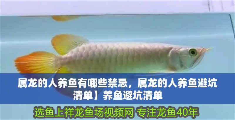 屬龍的人養(yǎng)魚有哪些禁忌，屬龍的人養(yǎng)魚避坑清單】養(yǎng)魚避坑清單