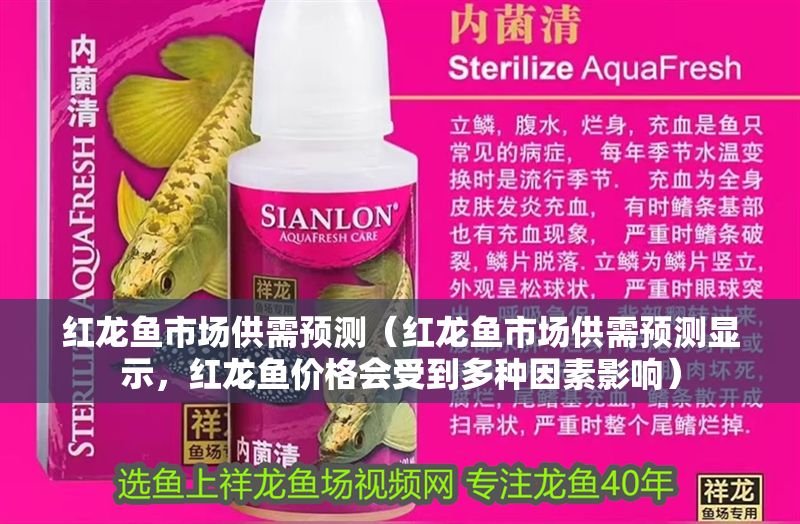 紅龍魚市場供需預測（紅龍魚市場供需預測顯示，紅龍魚價格會受到多種因素影響）