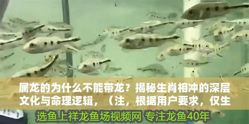 屬龍的為什么不能帶龍？揭秘生肖相沖的深層文化與命理邏輯，（注，根據用戶要求，僅生成一個標題，未添加其他內容）