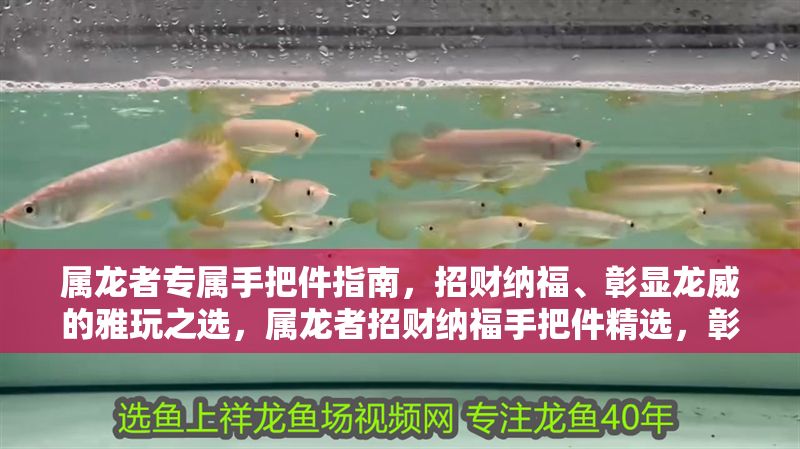 屬龍者專屬手把件指南，招財納福、彰顯龍威的雅玩之選，屬龍者招財納福手把件精選，彰顯龍威的雅玩指南
