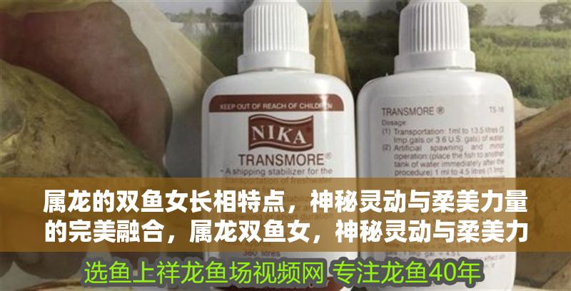 屬龍的雙魚女長相特點(diǎn)，神秘靈動與柔美力量的完美融合，屬龍雙魚女，神秘靈動與柔美力量的絕美交融