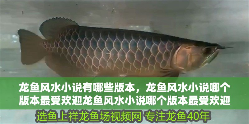 龍魚風水小說有哪些版本，龍魚風水小說哪個版本最受歡迎龍魚風水小說哪個版本最受歡迎