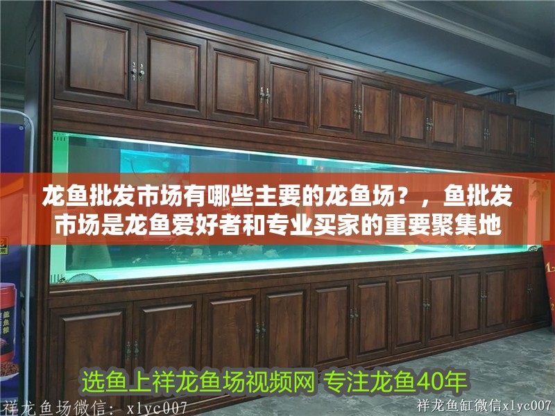 龍魚批發(fā)市場(chǎng)有哪些主要的龍魚場(chǎng)？，魚批發(fā)市場(chǎng)是龍魚愛好者和專業(yè)買家的重要聚集地