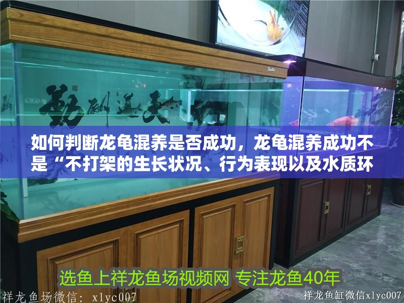 如何判斷龍龜混養是否成功，龍龜混養成功不是“不打架的生長狀況、行為表現以及水質環境來綜合評估