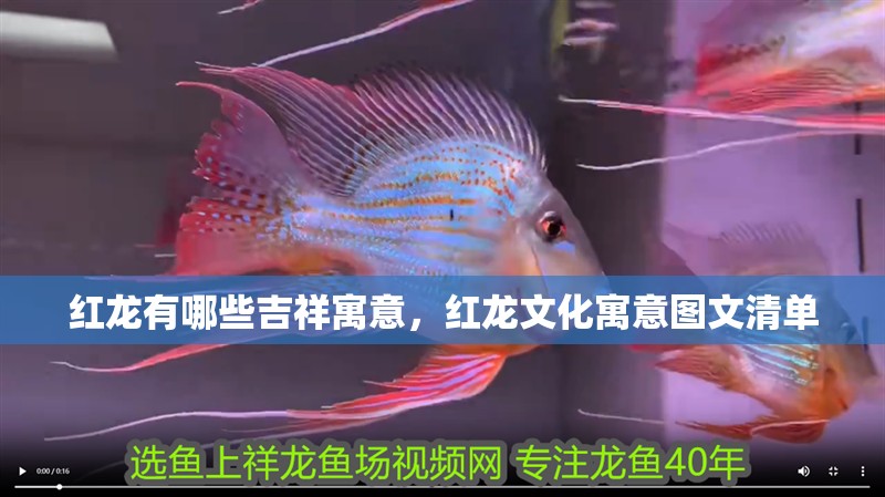 紅龍有哪些吉祥寓意，紅龍文化寓意圖文清單
