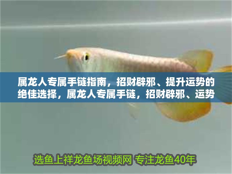 屬龍人專屬手鏈指南，招財(cái)辟邪、提升運(yùn)勢(shì)的絕佳選擇，屬龍人專屬手鏈，招財(cái)辟邪、運(yùn)勢(shì)提升的吉祥之選