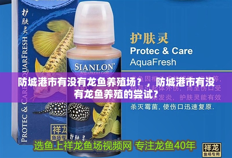 防城港市有沒有龍魚養(yǎng)殖場(chǎng)？，防城港市有沒有龍魚養(yǎng)殖的嘗試？