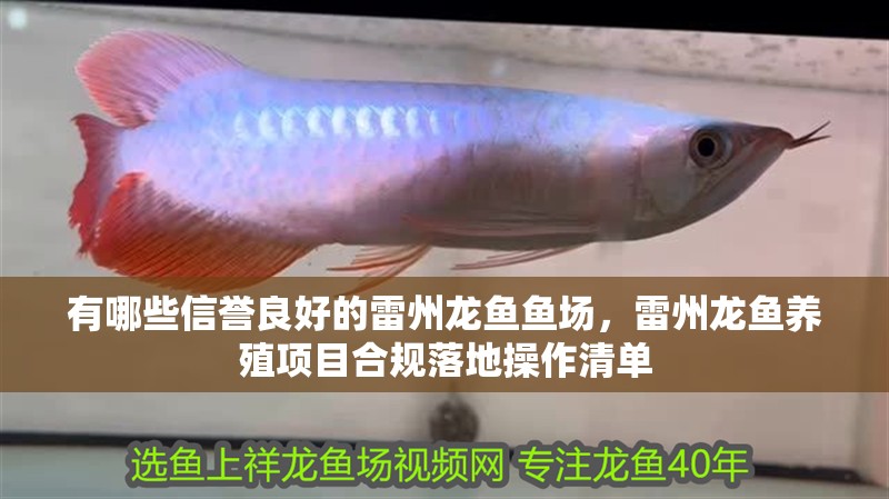 有哪些信譽良好的雷州龍魚魚場，雷州龍魚養殖項目合規落地操作清單