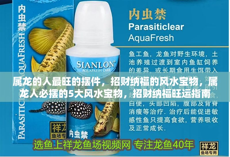 屬龍的人最旺的擺件,招財納福的風水寶物,屬龍人必擺的5大風水寶物,招財納福旺運指南 龍魚百科 第1張 屬龍的人最旺的擺件,招財納福的風水寶物,屬龍人必擺的5大風水寶物,招財納福旺運指南 屬龍的人最旺的擺件,招財納福的風水寶物,屬龍人必擺的5大風水寶物,招財納福旺運指南 龍魚百科 第1張