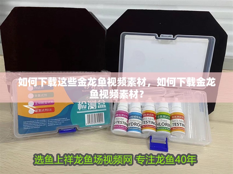 如何下載這些金龍魚視頻素材，如何下載金龍魚視頻素材？