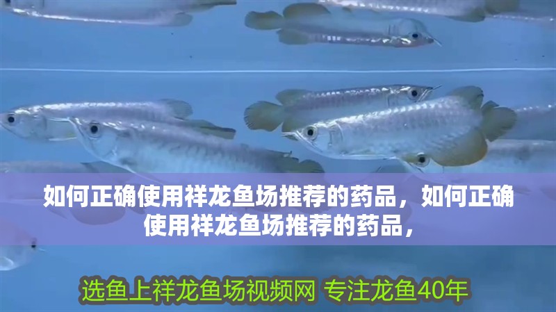 如何正確使用祥龍魚場推薦的藥品，如何正確使用祥龍魚場推薦的藥品， 如何正確使用祥龍魚場推薦的藥品，如何正確使用祥龍魚場推薦的藥品， 龍魚百科