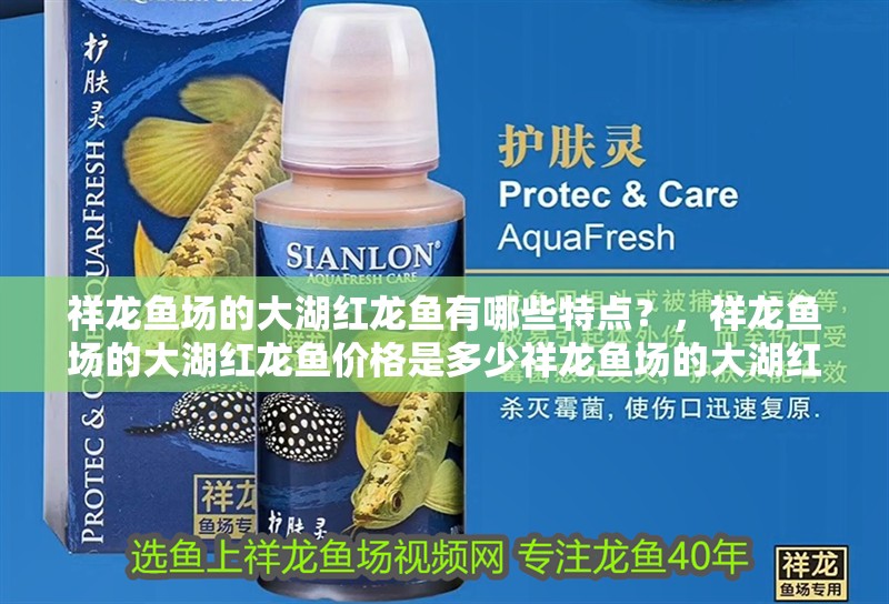 祥龍魚場的大湖紅龍魚有哪些特點？，祥龍魚場的大湖紅龍魚價格是多少祥龍魚場的大湖紅龍魚價格是多少