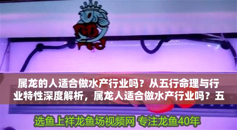 屬龍的人適合做水產(chǎn)行業(yè)嗎？從五行命理與行業(yè)特性深度解析，屬龍人適合做水產(chǎn)行業(yè)嗎？五行命理與行業(yè)特性全解析