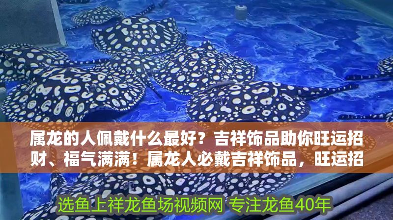 屬龍的人佩戴什么最好？吉祥飾品助你旺運招財、福氣滿滿！屬龍人必戴吉祥飾品，旺運招財福氣全攻略