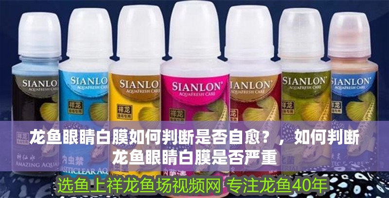 龍魚眼睛白膜如何判斷是否自愈？，如何判斷龍魚眼睛白膜是否嚴(yán)重