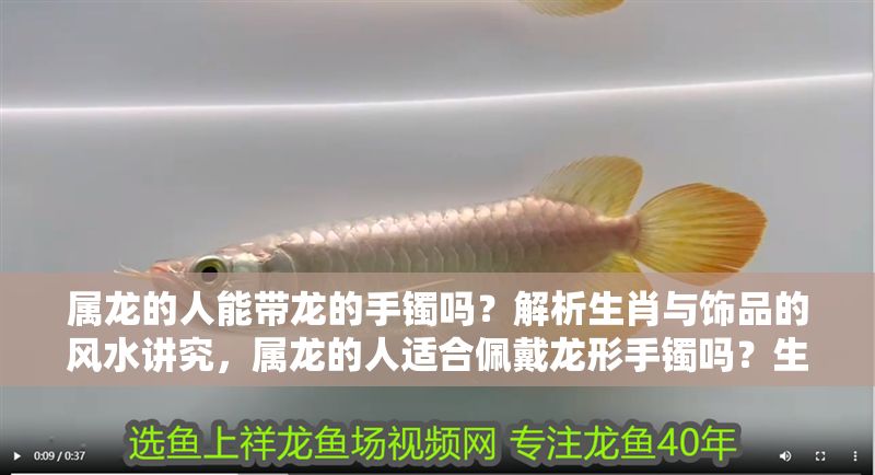 屬龍的人能帶龍的手鐲嗎？解析生肖與飾品的風(fēng)水講究，屬龍的人適合佩戴龍形手鐲嗎？生肖飾品風(fēng)水禁忌全解析