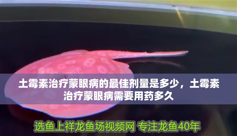 土霉素治療蒙眼病的最佳劑量是多少，土霉素治療蒙眼病需要用藥多久