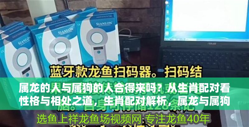 屬龍的人與屬狗的人合得來嗎？從生肖配對看性格與相處之道，生肖配對解析，屬龍與屬狗的性格契合度與相處之道