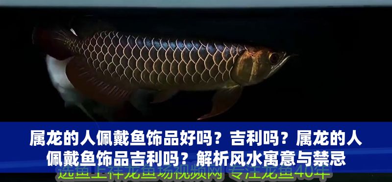 屬龍的人佩戴魚飾品好嗎？吉利嗎？屬龍的人佩戴魚飾品吉利嗎？解析風(fēng)水寓意與禁忌