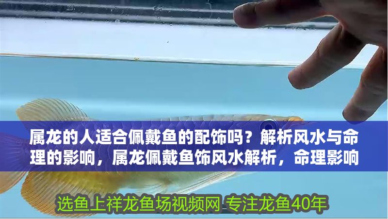 屬龍的人適合佩戴魚的配飾嗎？解析風(fēng)水與命理的影響，屬龍佩戴魚飾風(fēng)水解析，命理影響與宜忌指南
