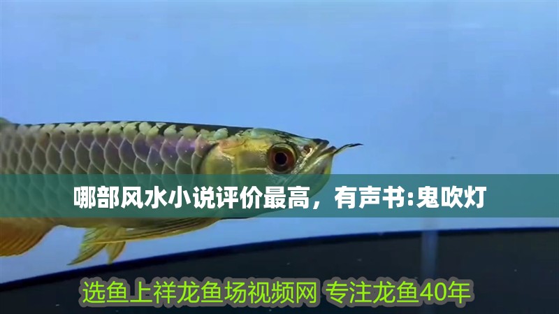 哪部風水小說評價最高，有聲書:鬼吹燈