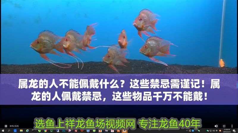 屬龍的人不能佩戴什么？這些禁忌需謹記！屬龍的人佩戴禁忌，這些物品千萬不能戴！
