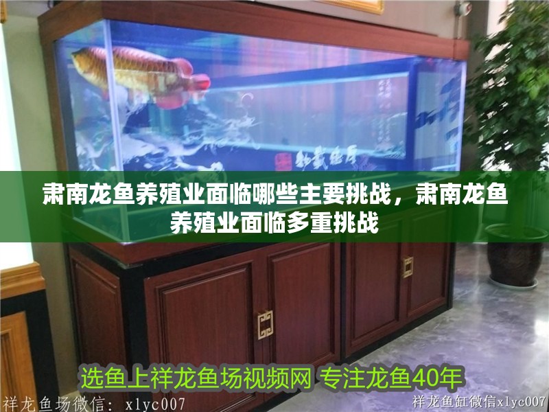 肅南龍魚養殖業面臨哪些主要挑戰，肅南龍魚養殖業面臨多重挑戰