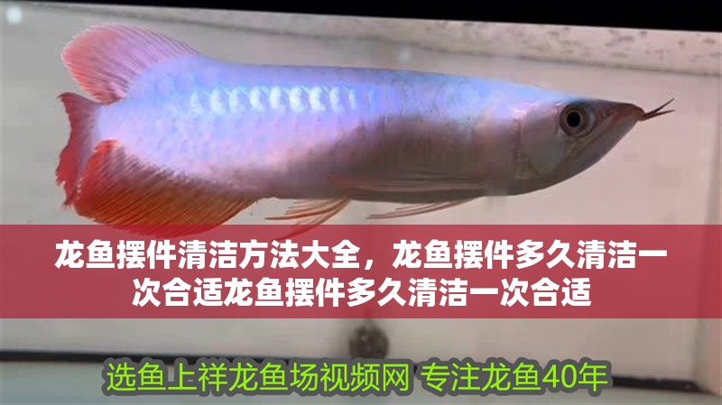 龍魚擺件清潔方法大全，龍魚擺件多久清潔一次合適龍魚擺件多久清潔一次合適