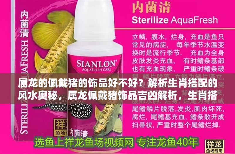 屬龍的佩戴豬的飾品好不好？解析生肖搭配的風(fēng)水奧秘，屬龍佩戴豬飾品吉兇解析，生肖搭配的風(fēng)水禁忌與開運指南