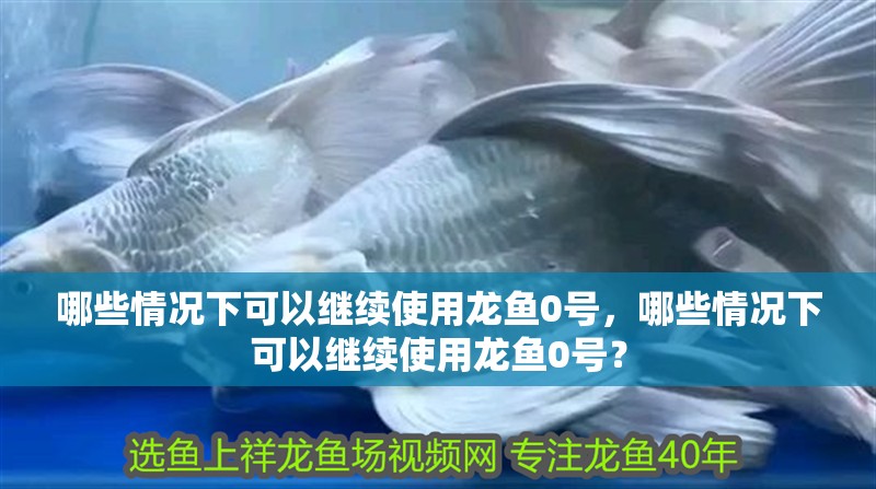 哪些情況下可以繼續使用龍魚0號，哪些情況下可以繼續使用龍魚0號？