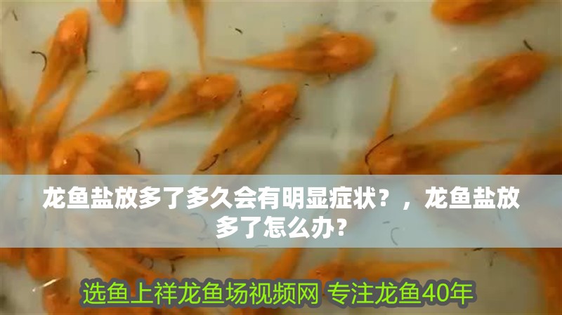 龍魚鹽放多了多久會有明顯癥狀？，龍魚鹽放多了怎么辦？